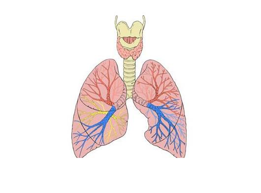 空氣負離子還能有效緩解肺炎、氣管炎復發